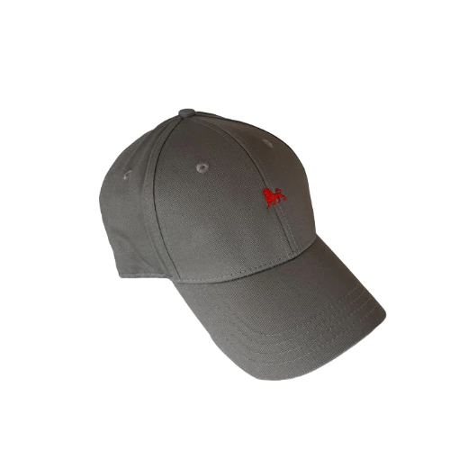 Baseball Kappe Lion - grau