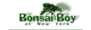 Bonsai Boy of New York