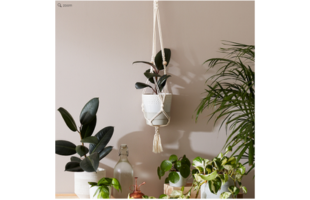 CALM CLUB von Luckies – Hang Time – DIY Makramee-Pflanzenhänger aus Baumwolle