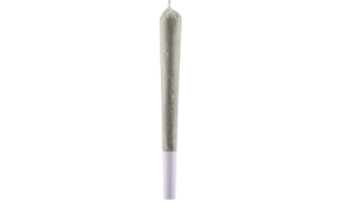 CBD Pre-Roll