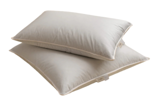 Dalfilo down pillows