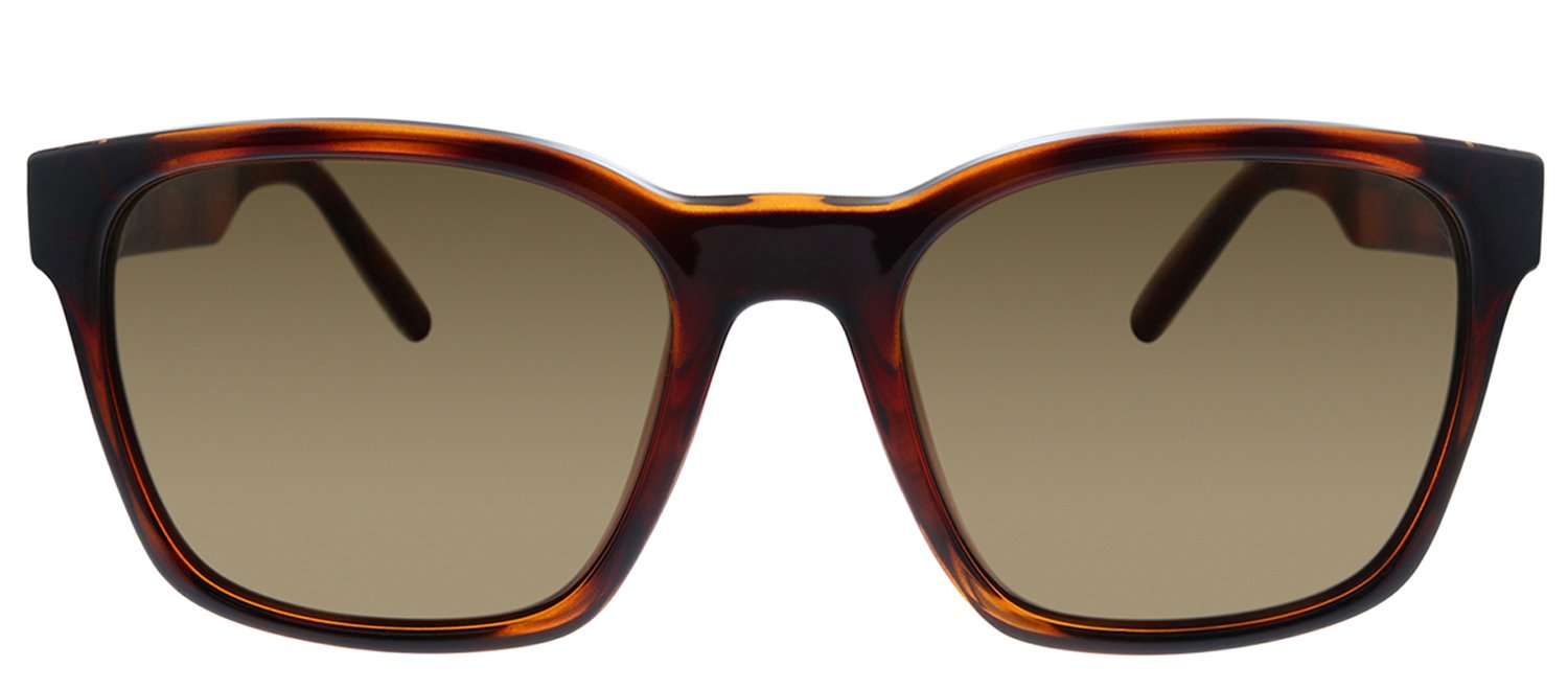 Salvatore Ferragamo SF 959S 214 Quadratische Plastik Schildkrötensonnenbrille mit braunen Gläsern