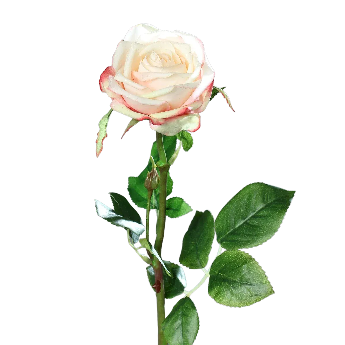 Künstliche Rose - Pam | 66 cm