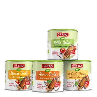 GEFRO BIO 4er Würzpaket