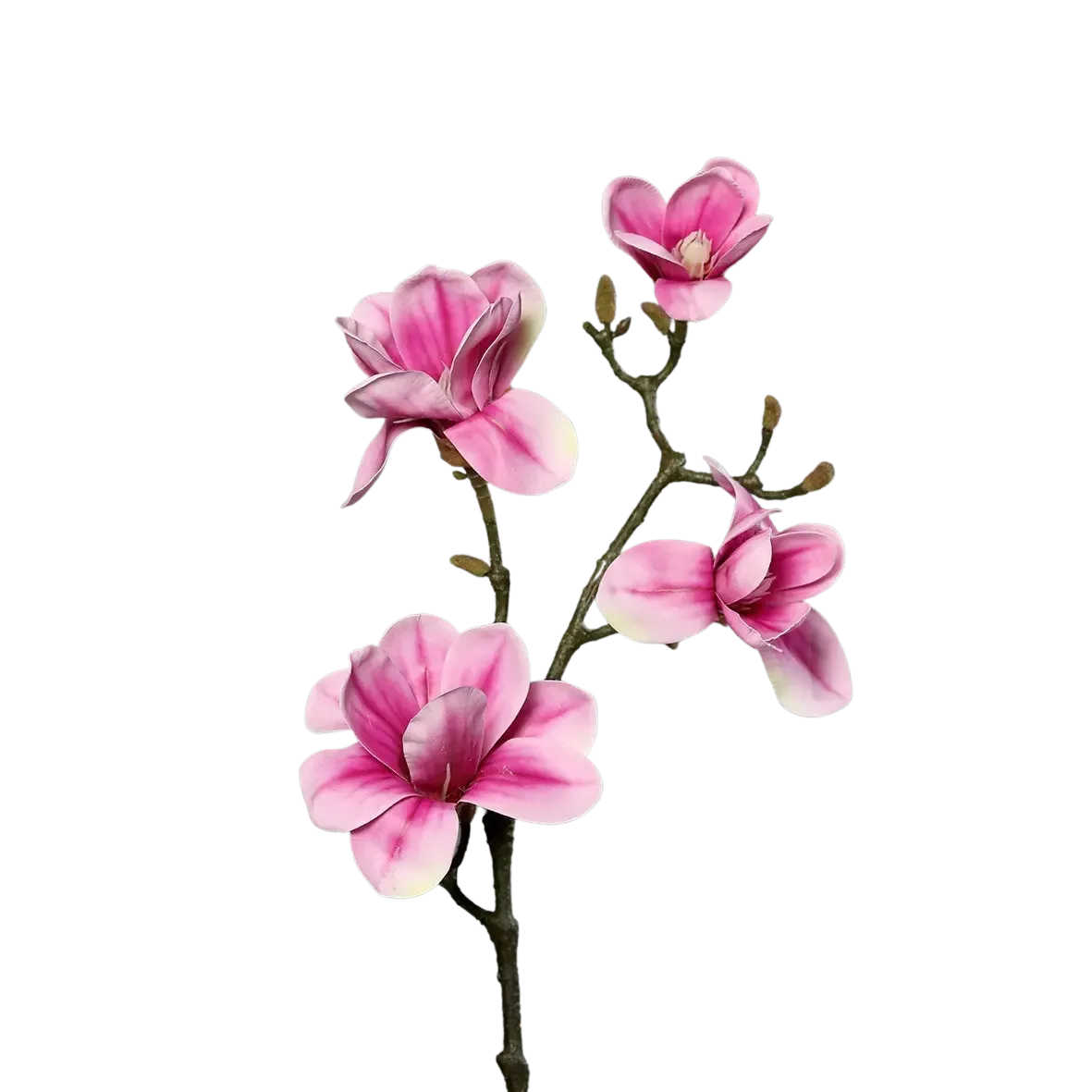 Künstlicher Magnolien Zweig - Matilda | 80 cm