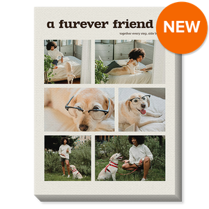 Paws & Memories Collage