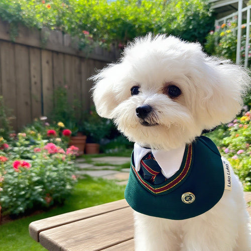 Ivy – Rote & Grüne Preppy Hundebandana | Stylisches Anlassoutfit