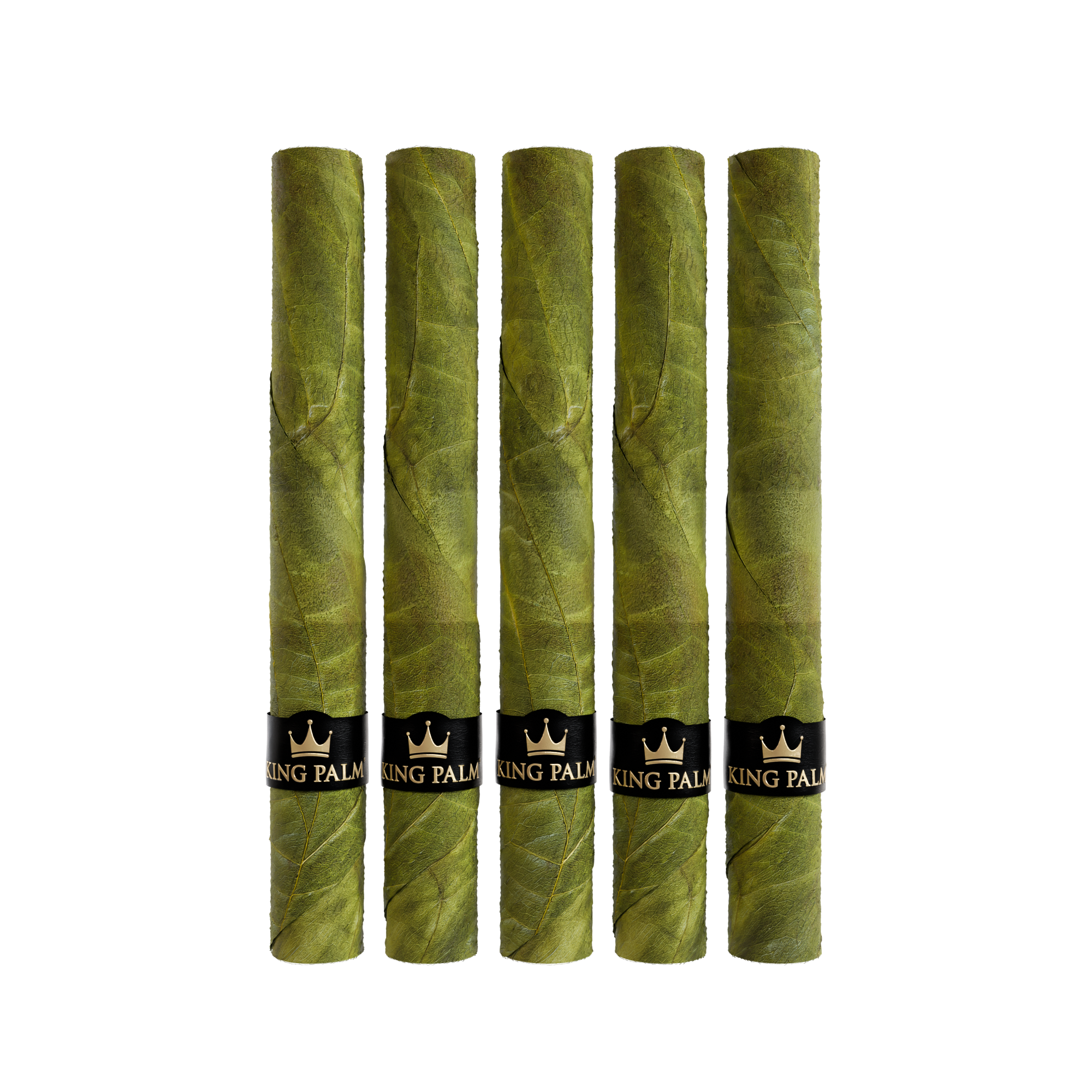 5 XXXL Bundle