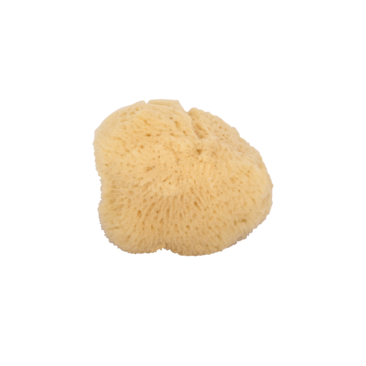 Gesichtsschwamm aus Silk - für natürliche Reinigung