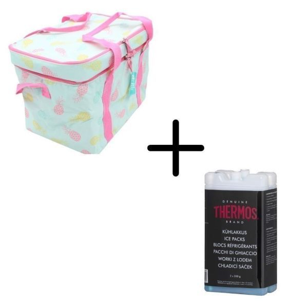 Fiduciashop Cooler Bag 24 L Portable Picnic Bag with two cooling compartments + 2 ice packs