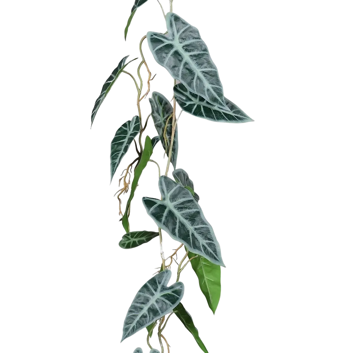 Künstliche Alocasia Ranke - Bruno | 115 cm