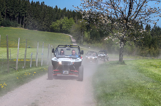 Quad Side by Side Beginner Tour in the Black Forest