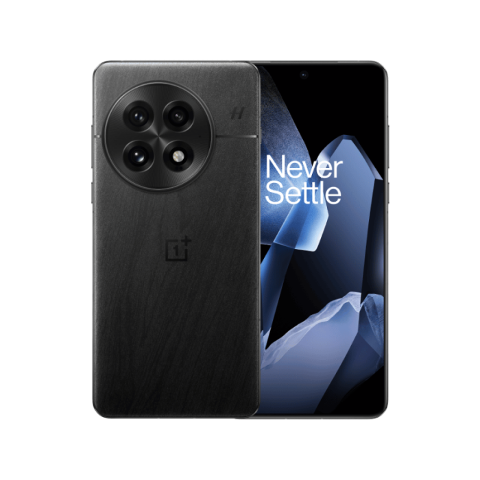 Global Version OnePlus 13 【Preorder: Expected delivery in mid-september】