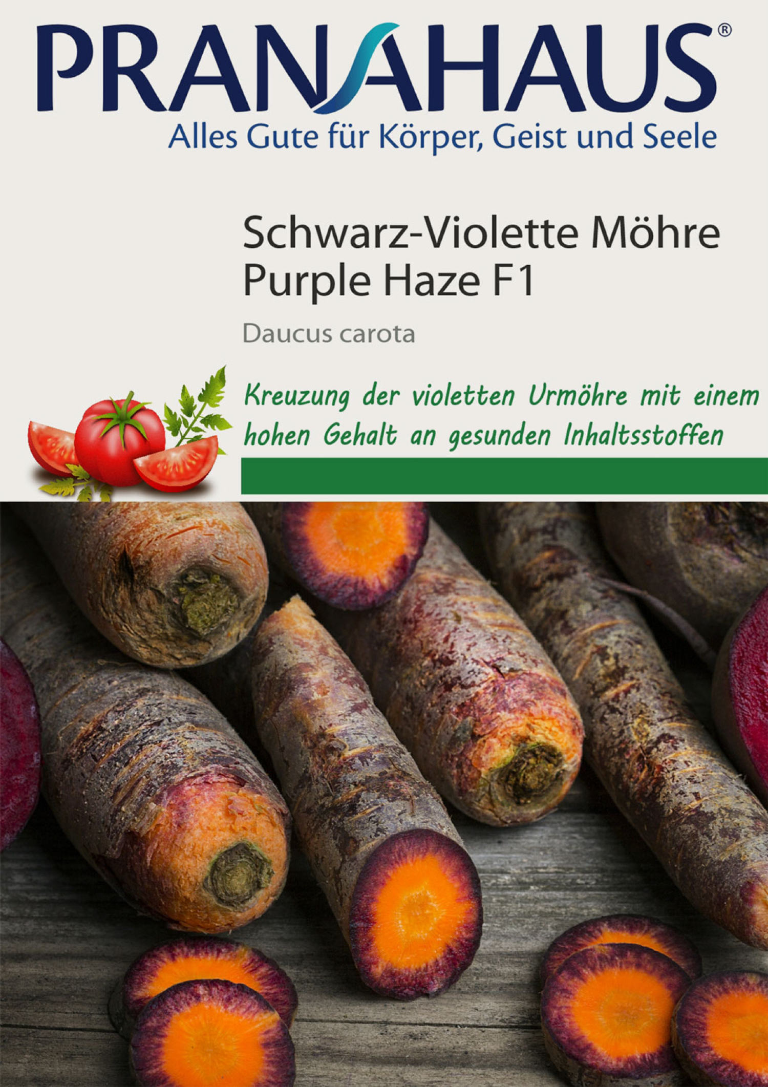 Schwarz-Violette Möhre „Purple Haze“, Samen