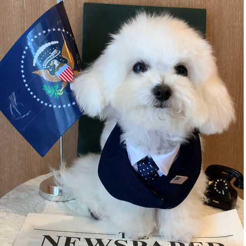 Präsident – Rotes & Blaues Knotenkostüm für Hunde | Formell