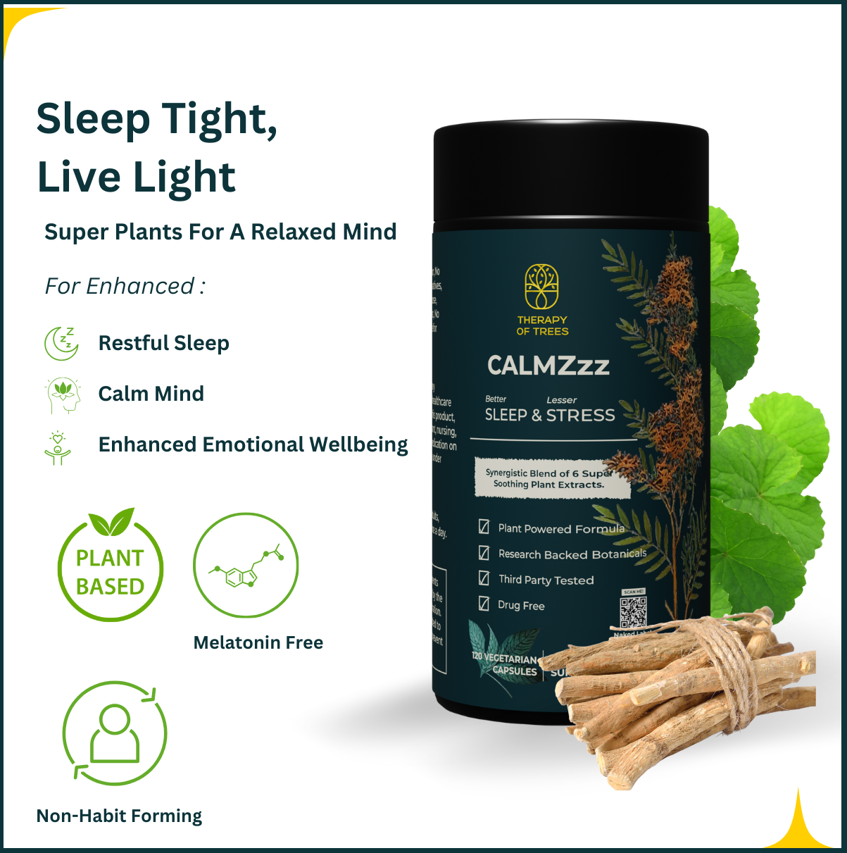 CALMZzz : Schlaf- und Angstunterstützung – Natures Antwort auf Ruhe & Entspannung