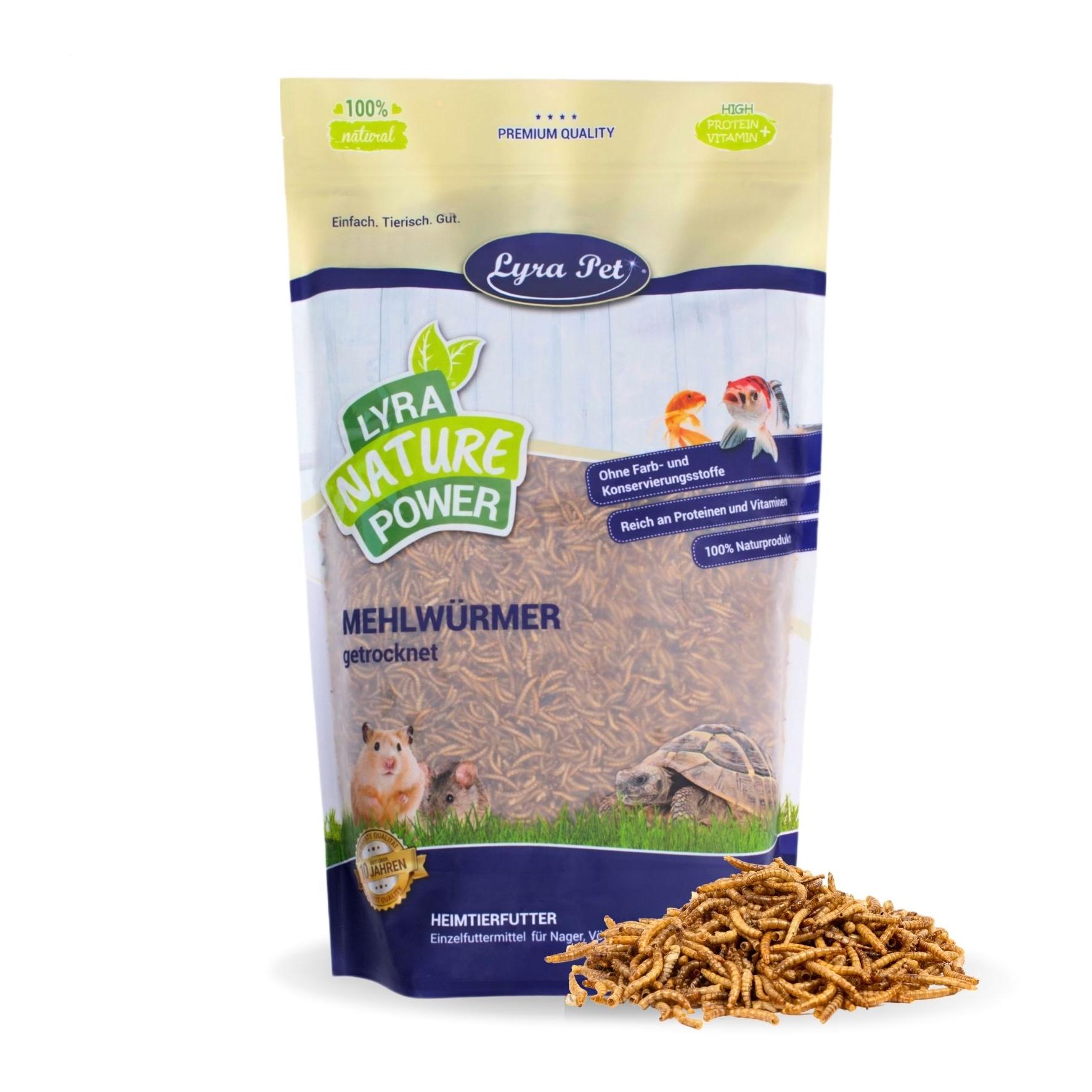 Dried Mealworms
