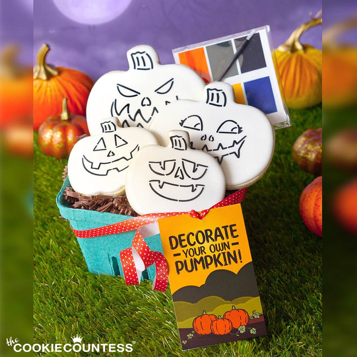 Halloween PYO Kürbis Kit