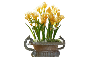 Dekoblumen 12er Set Ilvera
