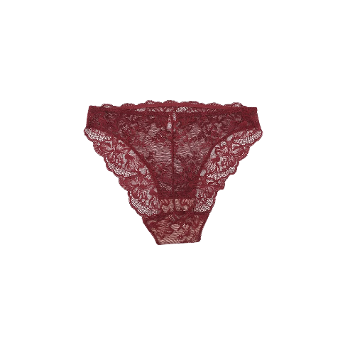 Elegant Low-Rise Lace Panties with Antibacterial Cotton Comfort