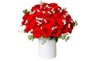 Endlose Leidenschaft 30 Rote Rosen