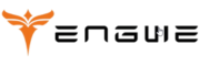 Engwe