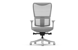 Ergonomic Office Chair with Oversized Contoured Backrest (BS8 Pro)