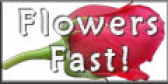 Flowers Fast
