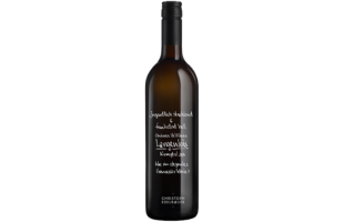 Grüner Veltliner Langenlois Kamptal DAC 2024 - Christoph Edelbauer