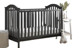 Harriet Bee Seline 2-in-1 Konvertible Holzreisebett