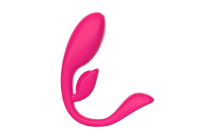 HERJOY G-Punkt Fernbedienung & tragbarer Doppel-Ei-Vibrator