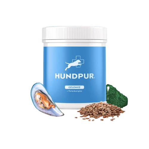 Hundpur® Gelenke mit Grünlippmuschel