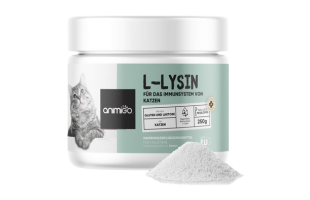 L-Lysin Pulver