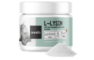 L-Lysin-Pulver