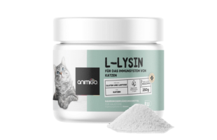L-Lysine powder
