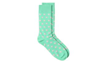 Men's Daisy Days Crew Socks