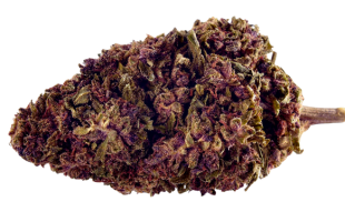 πβοΈ Purple Kinky Kush 40% Superior