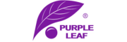 Purple Leaf