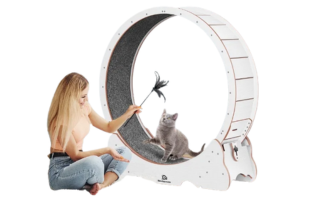 PurrfectStride™ Cat Exercise Treadmill