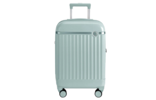 Roamer 20" Carry On