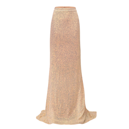 Shimmering Maxi Skirt