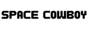 Space Cowboy