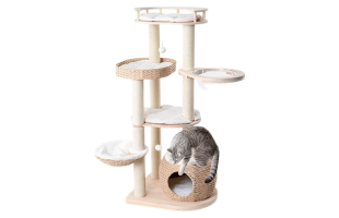 Whispering Hollow Katzenbaum