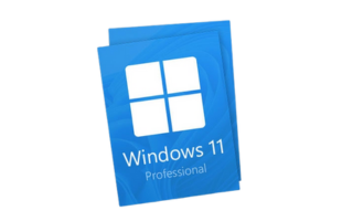 Windows 11 Professional 2 Keys Pack