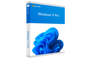 Windows 11 Professional 64 Bit - Microsoft Lizenz